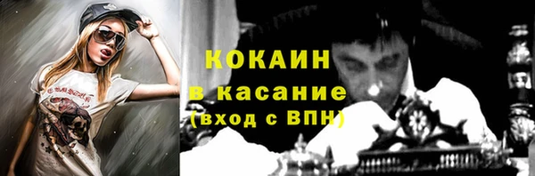 сатива Абаза