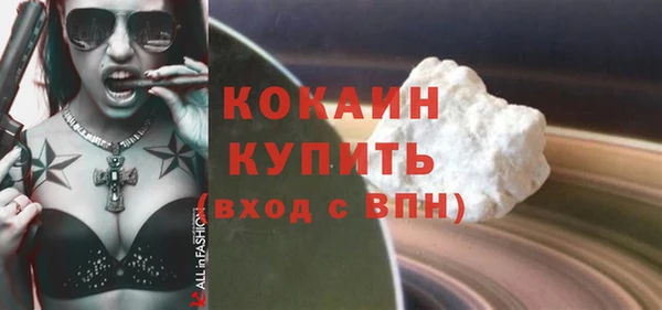 прущие грибы Приозерск