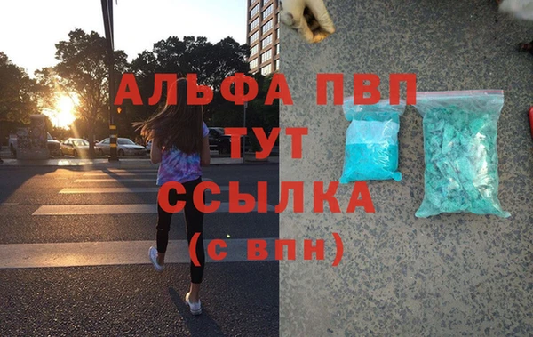 сатива Абаза