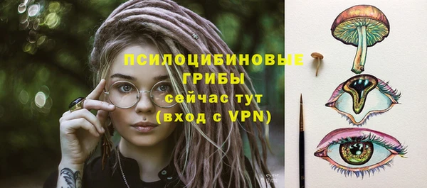 apvp Абинск