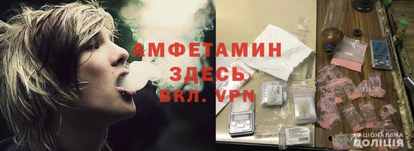 сатива Абаза