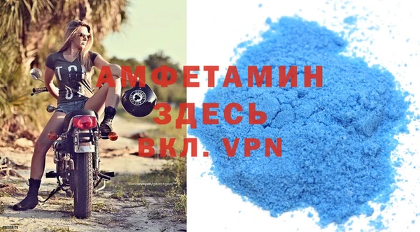прущие грибы Приозерск