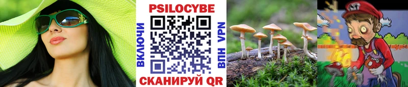 Псилоцибиновые грибы мицелий  Абаза 
